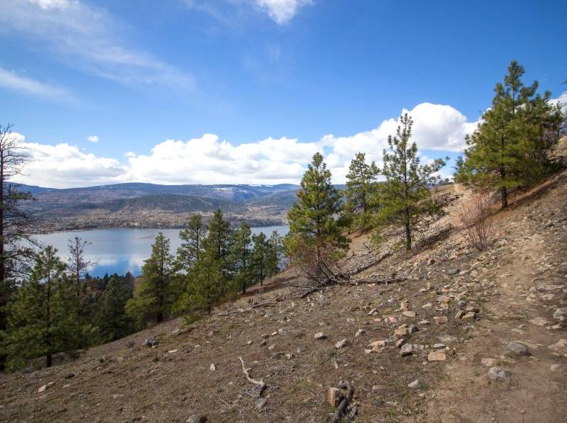 findtoprealestate | Hike the Trails of Mount Difficult: Take on the challenging trails of Mount Difficult