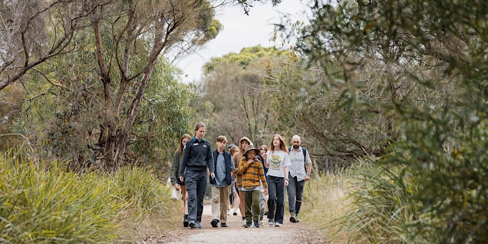 findtoprealestate | Ocean Grove Nature Reserve: Coastal Reserve and Birdwatching