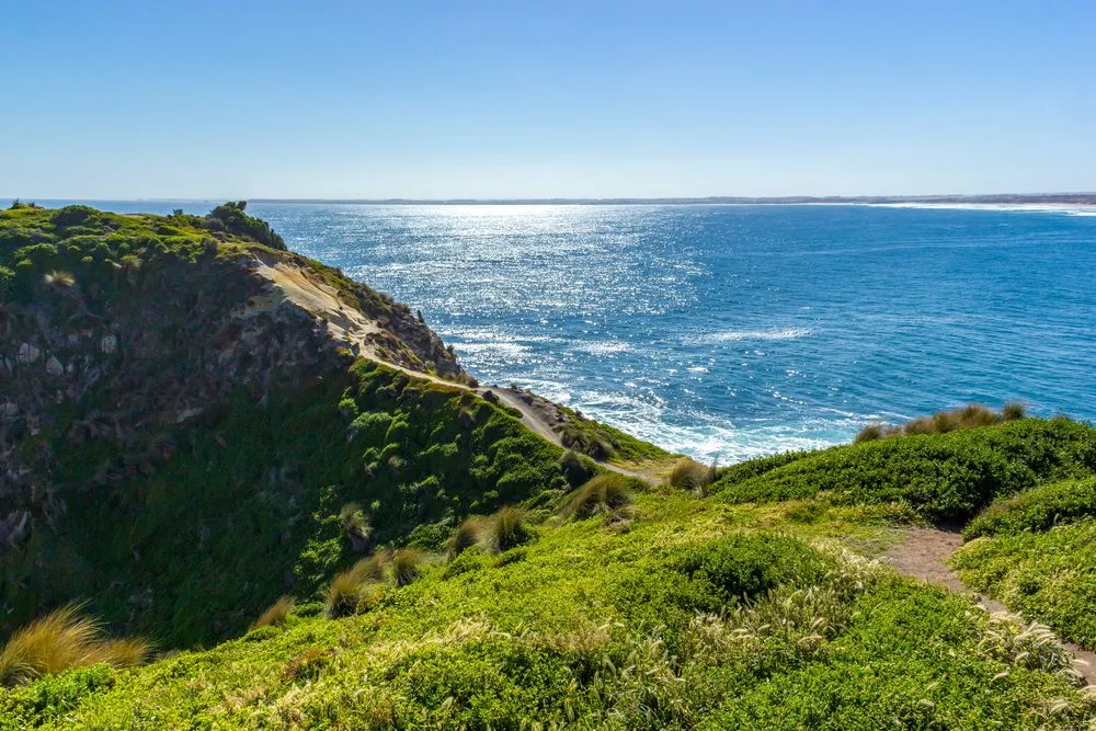 findtoprealestate | Ocean Grove Nature Reserve: Coastal Reserve and Birdwatching