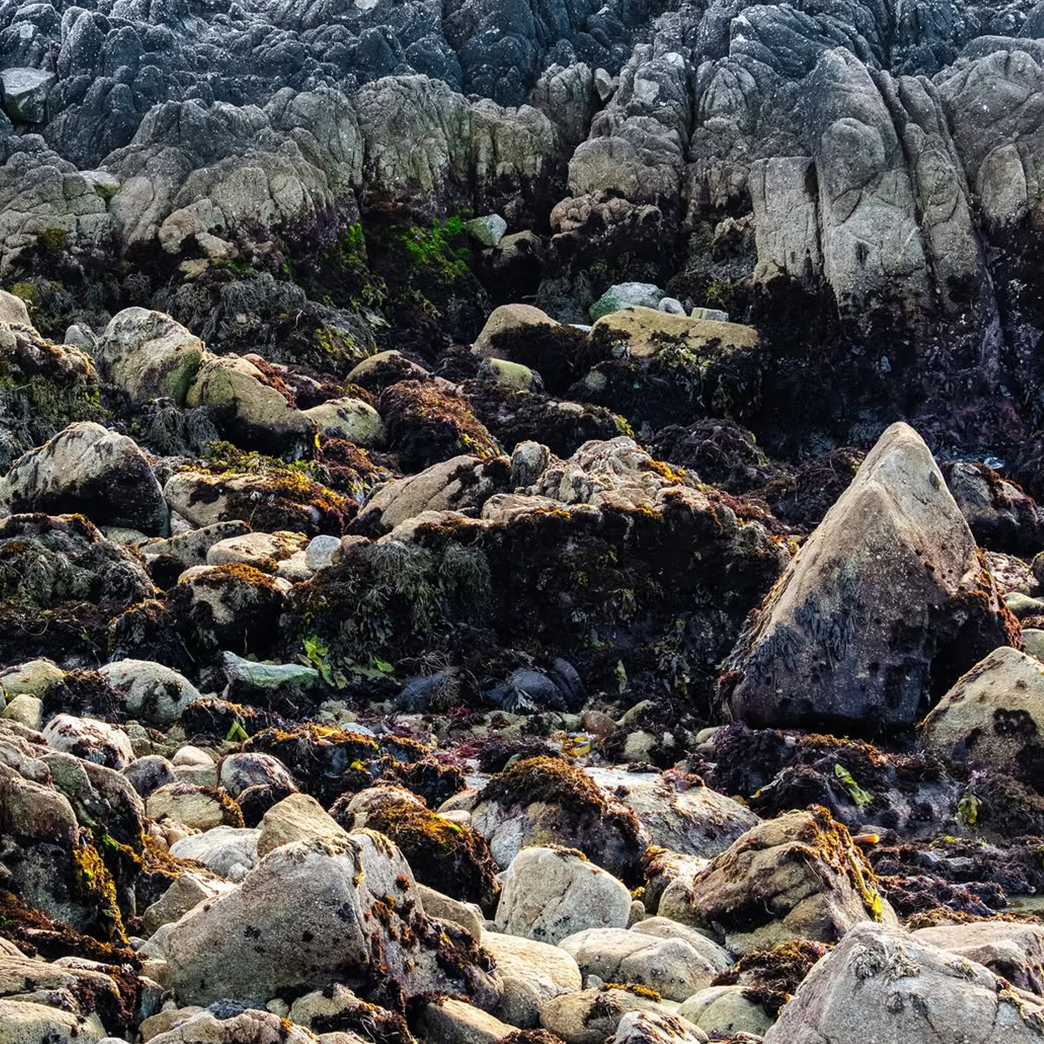 close up limestone rock erosion patterns