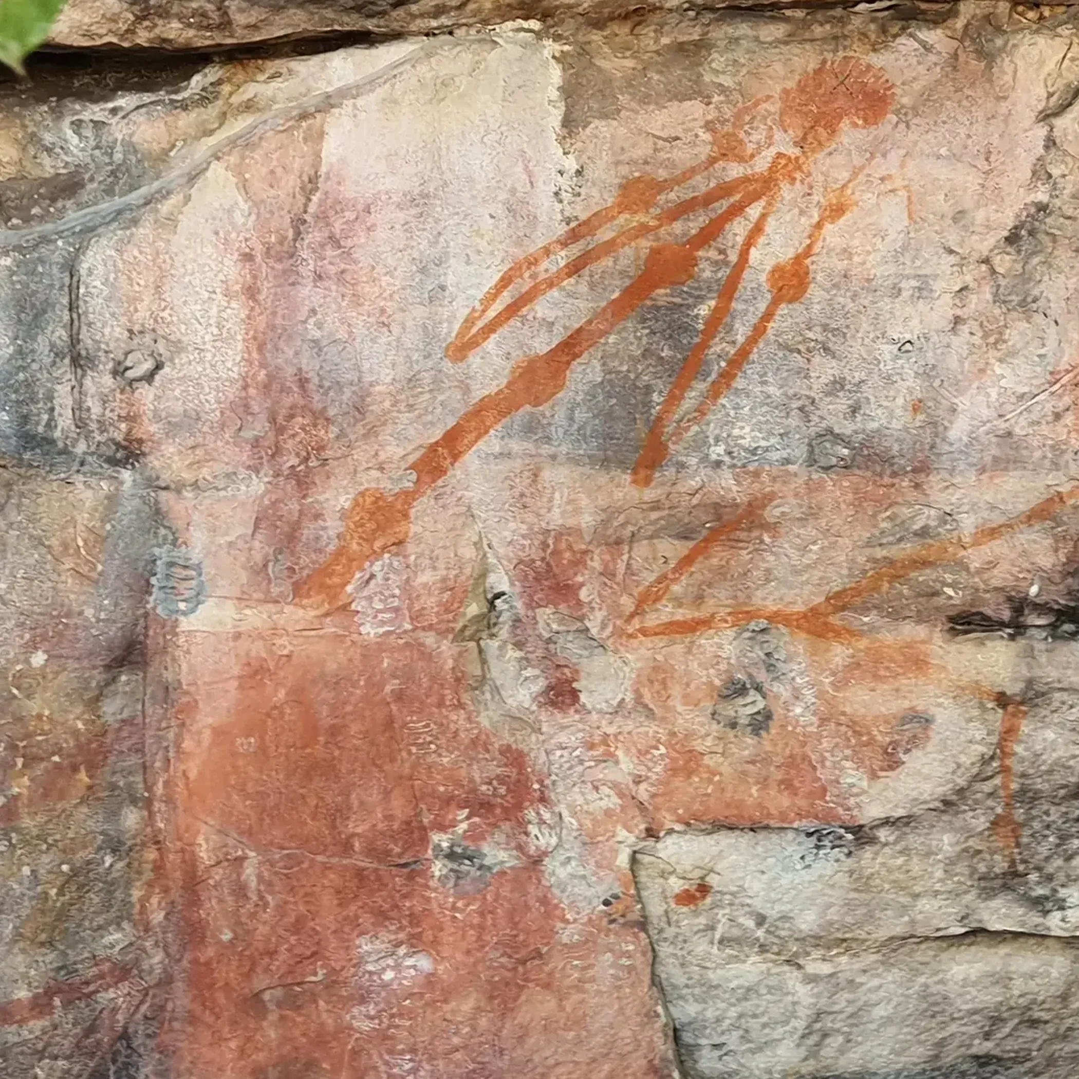 ancient rock art on sandstone escarpment