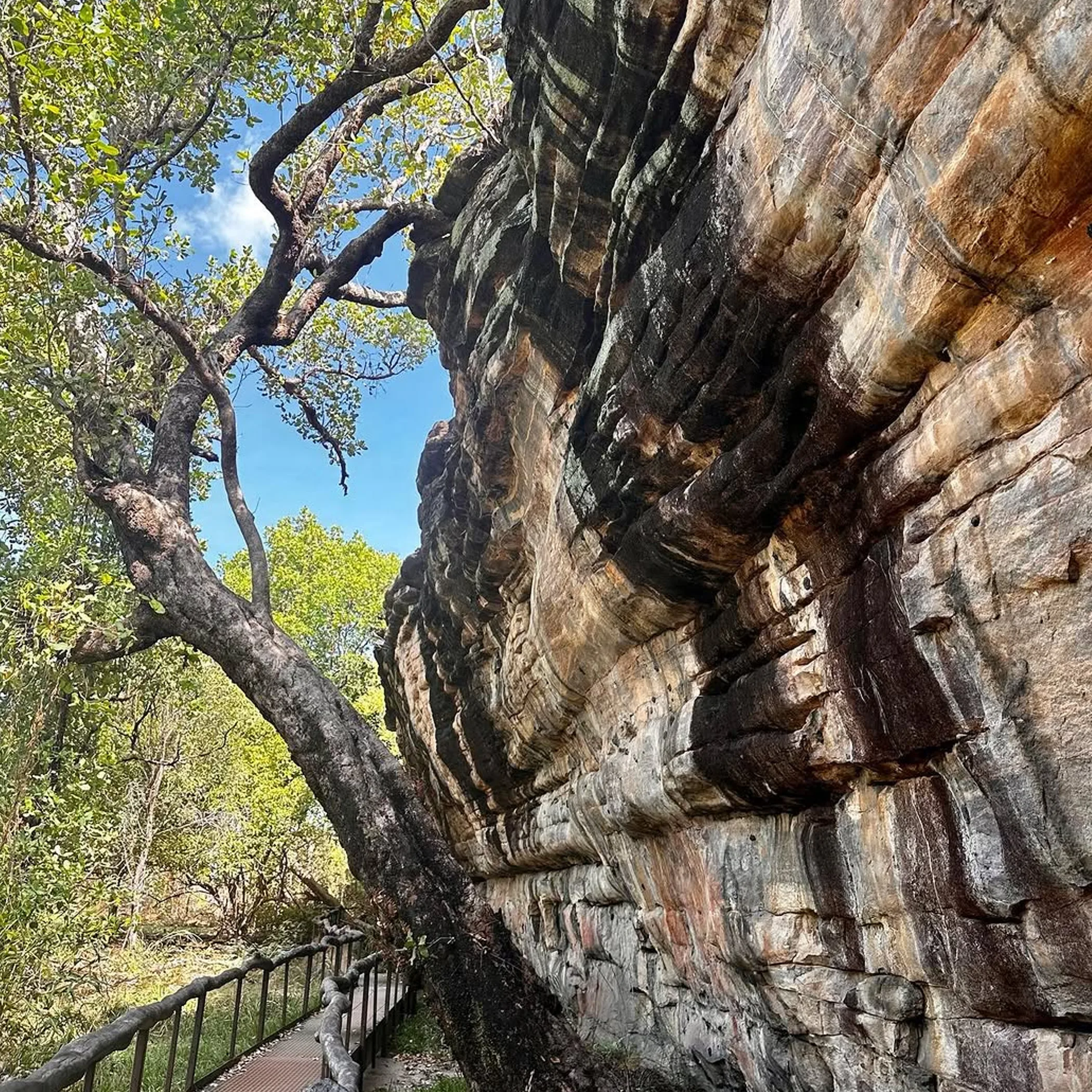 kakadu sandstone escarpment walking trail