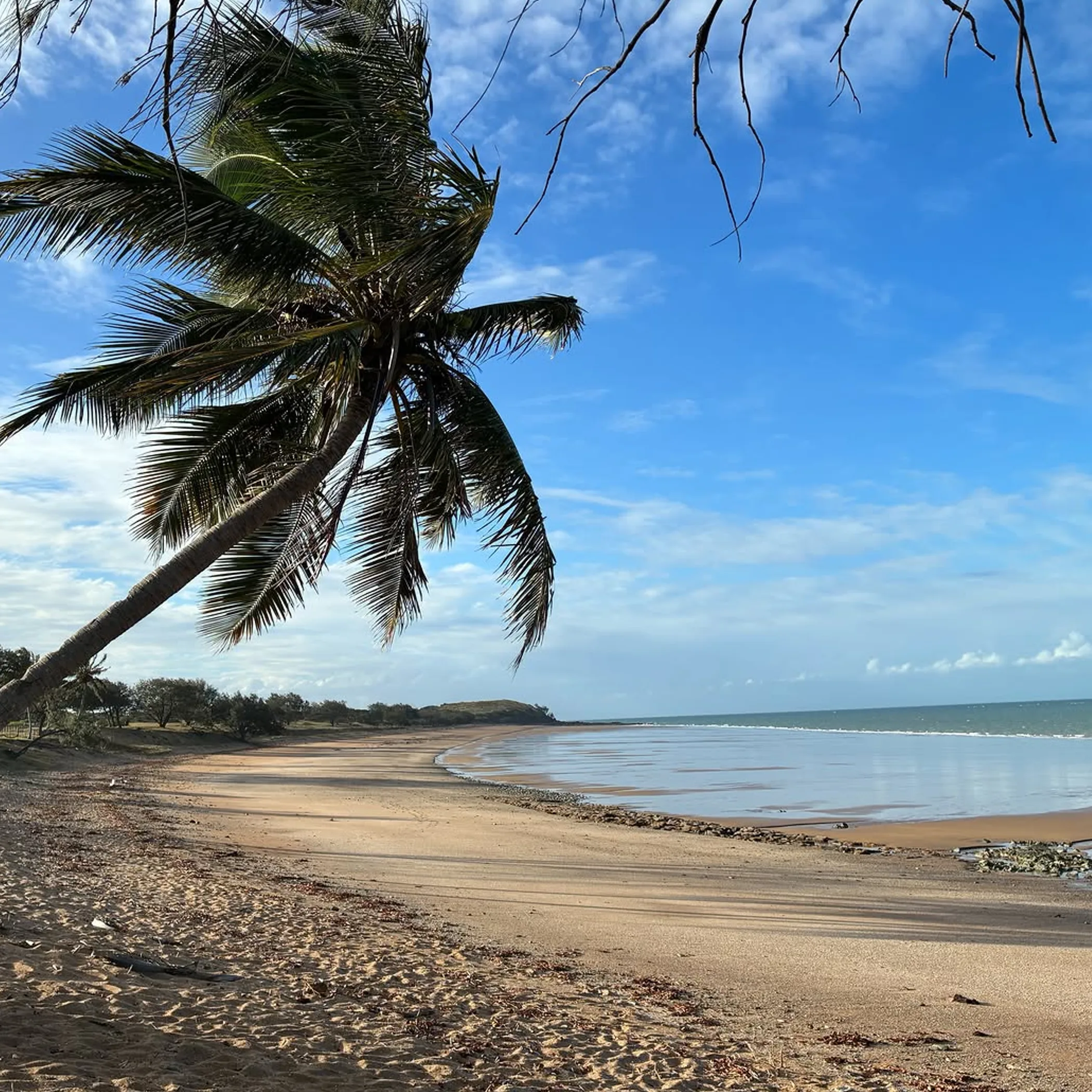 clear coastal photograph