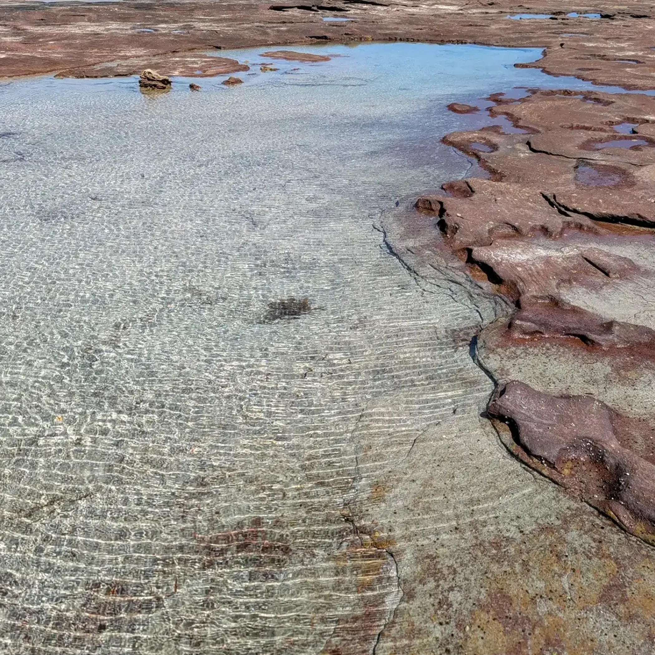australian coastal landscape